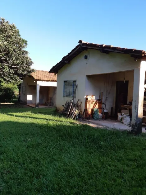 imagem 4 - Sítio Entre Jaci e Mirassol com 26.000m², 4 dormitórios. imagem 4 - Sítio Entre Jaci e Mirassol com 26.000m², 4 dormitórios.