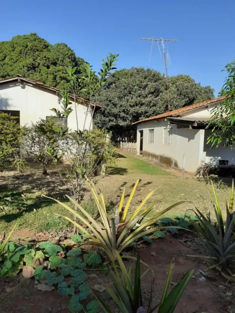 imagem 5 - Sítio Entre Jaci e Mirassol com 26.000m², 4 dormitórios. imagem 5 - Sítio Entre Jaci e Mirassol com 26.000m², 4 dormitórios.