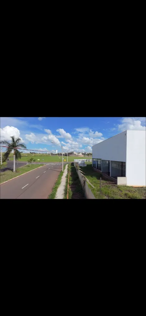imagem 3 - Setlife Mirassol - Excelente Área Venda imagem 3 - Setlife Mirassol - Excelente Área Venda