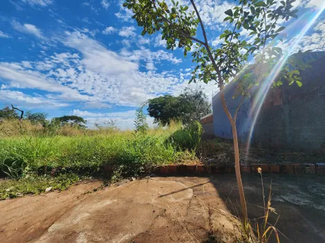 imagem 2 - Anúncio de Terreno em Ótima Localização no Parque Vila Nobre imagem 2 - Anúncio de Terreno em Ótima Localização no Parque Vila Nobre