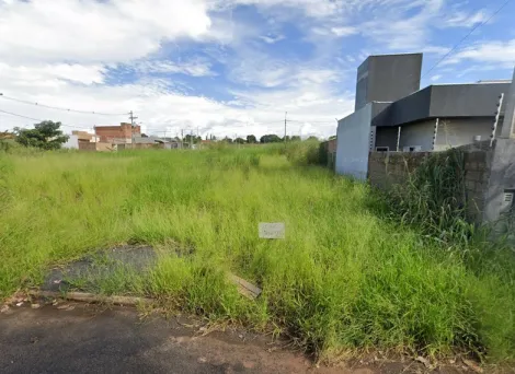 Alugar Terreno / Padrão em São José do Rio Preto. apenas R$ 80.000,00