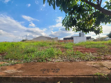 imagem 1 - Terreno com 220,68 em ótima localização - Bairro Parque Vila Nobre imagem 1 - Terreno com 220,68 em ótima localização - Bairro Parque Vila Nobre