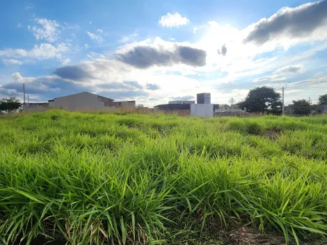 imagem 1 - Terreno com 233,78 em ótima localização - Bairro Parque Vila Nobre imagem 1 - Terreno com 233,78 em ótima localização - Bairro Parque Vila Nobre