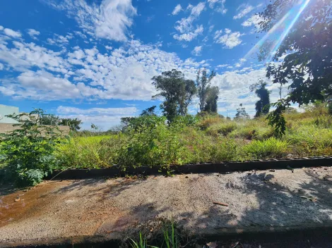imagem 1 - Terreno com 200,00m² - Bairro Parque Vila Nobre, São José do Rio Preto/SP imagem 1 - Terreno com 200,00m² - Bairro Parque Vila Nobre, São José do Rio Preto/SP