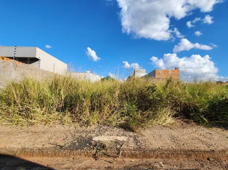 imagem 1 - Terreno com 220,00m² - Bairro Parque Vila Nobre, São José do Rio Preto/SP imagem 1 - Terreno com 220,00m² - Bairro Parque Vila Nobre, São José do Rio Preto/SP