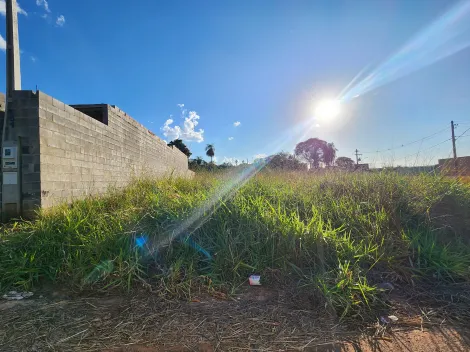 imagem 1 - Terreno com 320,00m² - Bairro Parque Vila Nobre, São José do Rio Preto/SP imagem 1 - Terreno com 320,00m² - Bairro Parque Vila Nobre, São José do Rio Preto/SP