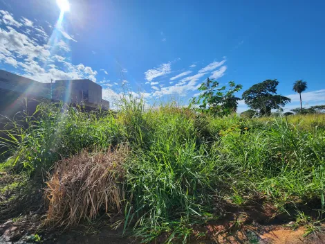 imagem 1 - Terreno com 205,79m² - Bairro Parque Vila Nobre, São José do Rio Preto/SP imagem 1 - Terreno com 205,79m² - Bairro Parque Vila Nobre, São José do Rio Preto/SP