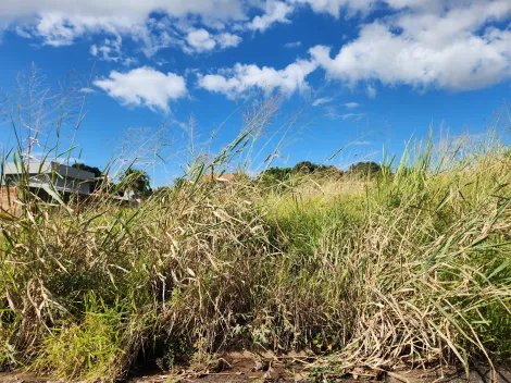 Alugar Terreno / Padrão em São José do Rio Preto. apenas R$ 80.000,00
