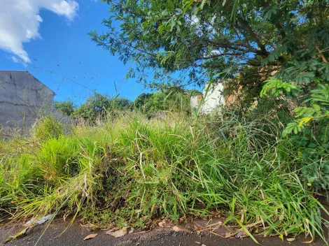 imagem 2 - Terreno com 220,20m² - Bairro Parque Vila Nobre, São José do Rio Preto/SP imagem 2 - Terreno com 220,20m² - Bairro Parque Vila Nobre, São José do Rio Preto/SP