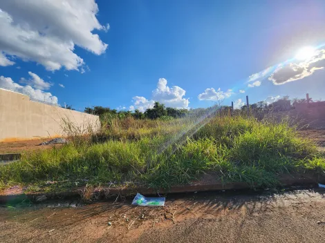 imagem 1 - Terreno com 322,02m² - Bairro Parque Vila Nobre, São José do Rio Preto/SP imagem 1 - Terreno com 322,02m² - Bairro Parque Vila Nobre, São José do Rio Preto/SP