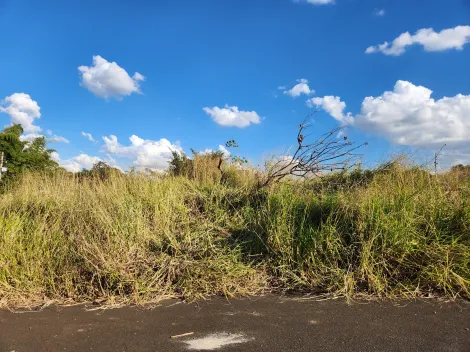 imagem 1 - Anúncio de Terreno em Ótima Localização no Parque Vila Nobre imagem 1 - Anúncio de Terreno em Ótima Localização no Parque Vila Nobre