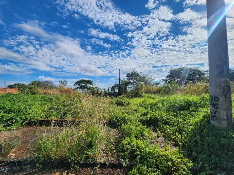 Alugar Terreno / Padrão em São José do Rio Preto. apenas R$ 80.000,00