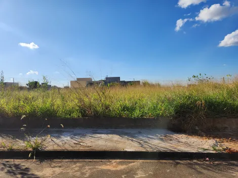 imagem 1 - Anúncio de Terreno em Ótima Localização no Parque Vila Nobre imagem 1 - Anúncio de Terreno em Ótima Localização no Parque Vila Nobre