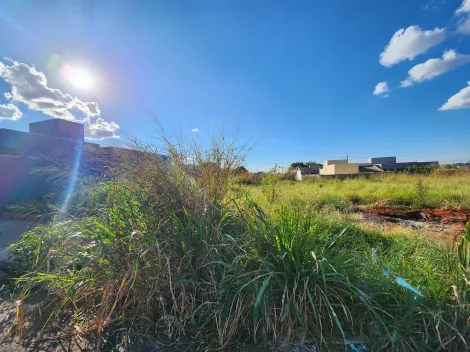 imagem 1 - Anúncio de Terreno em Ótima Localização no Parque Vila Nobre imagem 1 - Anúncio de Terreno em Ótima Localização no Parque Vila Nobre