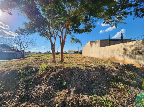 imagem 1 - Anúncio de Terreno em Ótima Localização no Parque Vila Nobre imagem 1 - Anúncio de Terreno em Ótima Localização no Parque Vila Nobre