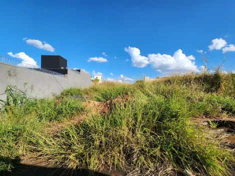 imagem 1 - Anúncio de Terreno em Ótima Localização no Parque Vila Nobre imagem 1 - Anúncio de Terreno em Ótima Localização no Parque Vila Nobre