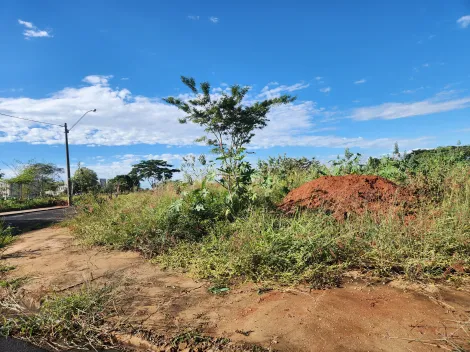 imagem 1 - Anúncio de Terreno em Ótima Localização no Parque Vila Nobre imagem 1 - Anúncio de Terreno em Ótima Localização no Parque Vila Nobre