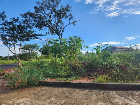 imagem 1 - Anúncio de Terreno em Ótima Localização no Parque Vila Nobre imagem 1 - Anúncio de Terreno em Ótima Localização no Parque Vila Nobre