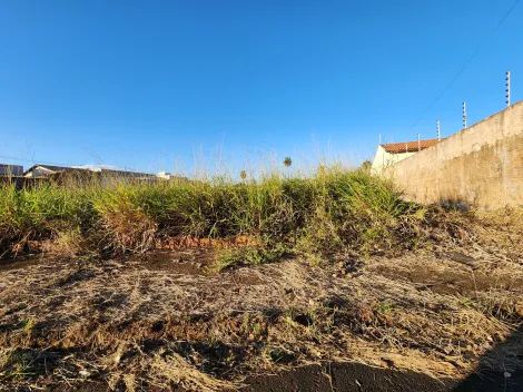 imagem 1 - Anúncio de Terreno em Ótima Localização no Parque Vila Nobre imagem 1 - Anúncio de Terreno em Ótima Localização no Parque Vila Nobre