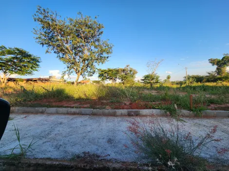 Alugar Terreno / Padrão em São José do Rio Preto. apenas R$ 96.000,00