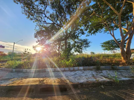 imagem 1 - Anúncio de Terreno em Ótima Localização no Parque Vila Nobre imagem 1 - Anúncio de Terreno em Ótima Localização no Parque Vila Nobre