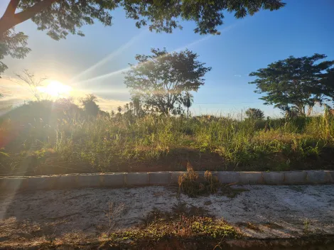 imagem 1 - Anúncio de Terreno em Ótima Localização no Parque Vila Nobre imagem 1 - Anúncio de Terreno em Ótima Localização no Parque Vila Nobre