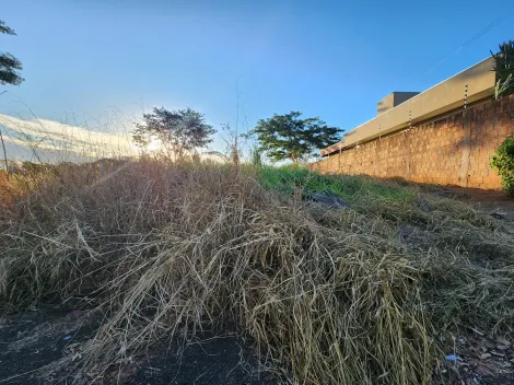 imagem 1 - Anúncio de Terreno em Ótima Localização no Parque Vila Nobre imagem 1 - Anúncio de Terreno em Ótima Localização no Parque Vila Nobre