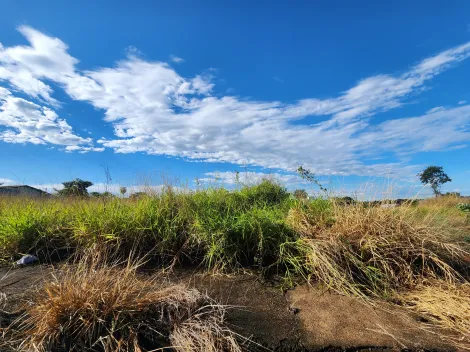 Alugar Terreno / Padrão em São José do Rio Preto. apenas R$ 100.000,00