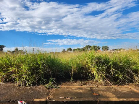 imagem 1 - Anúncio de Terreno em Ótima Localização no Parque Vila Nobre imagem 1 - Anúncio de Terreno em Ótima Localização no Parque Vila Nobre