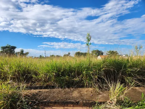 imagem 1 - Anúncio de Terreno em Ótima Localização no Parque Vila Nobre imagem 1 - Anúncio de Terreno em Ótima Localização no Parque Vila Nobre