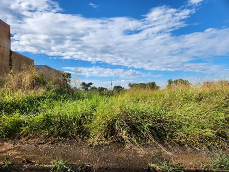 imagem 1 - Anúncio de Terreno em Ótima Localização no Parque Vila Nobre imagem 1 - Anúncio de Terreno em Ótima Localização no Parque Vila Nobre