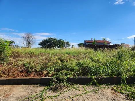 imagem 1 - Anúncio de Terreno em Ótima Localização no Parque Vila Nobre imagem 1 - Anúncio de Terreno em Ótima Localização no Parque Vila Nobre
