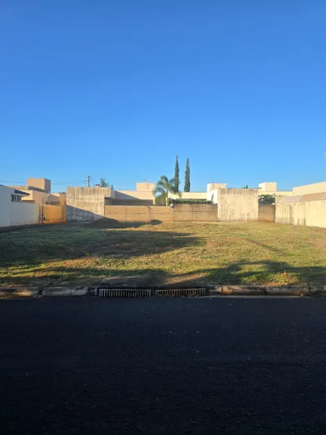 imagem 2 - Terreno no Condomínio Quinta da Mata imagem 2 - Terreno no Condomínio Quinta da Mata