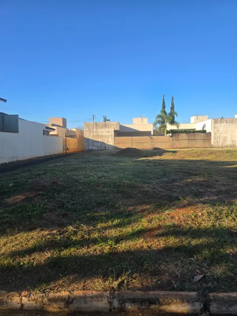 imagem 1 - Terreno no Condomínio Quinta da Mata imagem 1 - Terreno no Condomínio Quinta da Mata