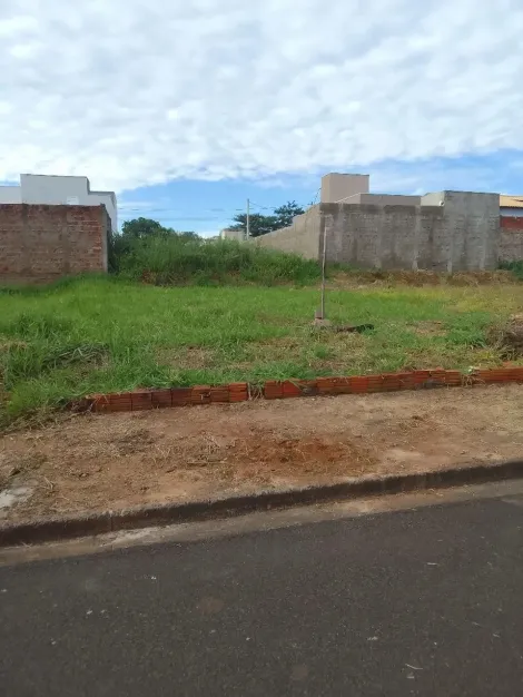 São José do Rio Preto - Parque Vila Nobre - Terreno - Padrão - Venda