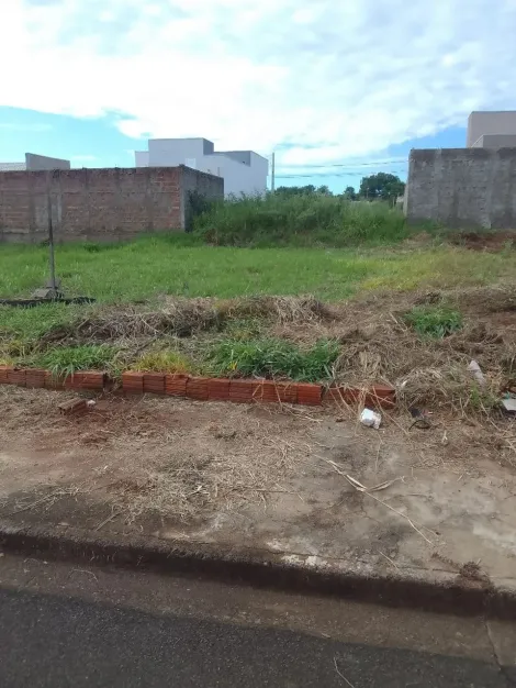 imagem 2 - Ótimo Terreno Residencial para Venda com 200m² - Parque Vila Nobre imagem 2 - Ótimo Terreno Residencial para Venda com 200m² - Parque Vila Nobre