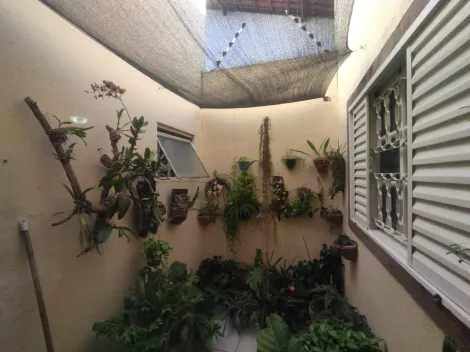 imagem 5 - Casa Venda Jardim Antonieta imagem 5 - Casa Venda Jardim Antonieta