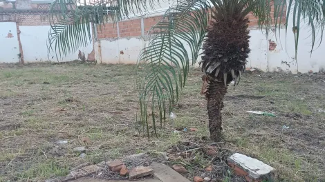 imagem 3 - Terreno Misto  Venda Santa Cruz imagem 3 - Terreno Misto  Venda Santa Cruz