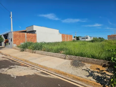 imagem 3 - Terreno com 200,00m² em ótima localização - Bairro MiraVista Residencial imagem 3 - Terreno com 200,00m² em ótima localização - Bairro MiraVista Residencial
