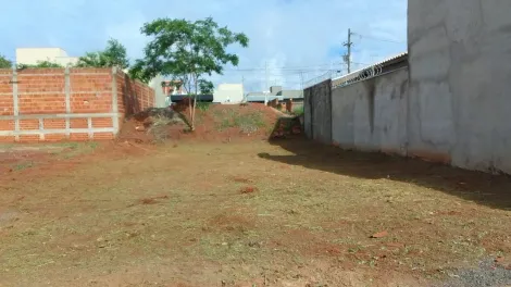Terreno / Padrão em Mirassol 