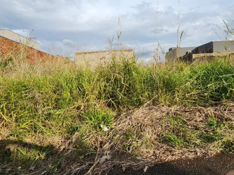 Alugar Terreno / Padrão em São José do Rio Preto. apenas R$ 80.000,00