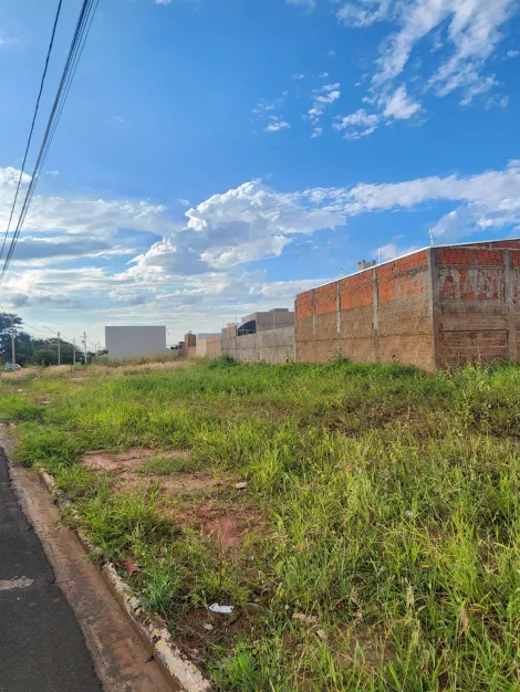 imagem 1 - Terreno com 289,16m² - Bairro Parque Vila Nobre, São José do Rio Preto/SP imagem 1 - Terreno com 289,16m² - Bairro Parque Vila Nobre, São José do Rio Preto/SP