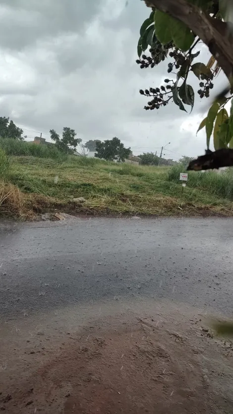 Bady Bassitt - Centro - Terreno - Padrão - Venda