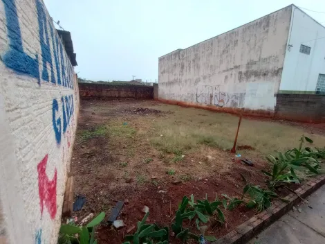 imagem 4 - Boa Vista Terreno plano com 242m². imagem 4 - Boa Vista Terreno plano com 242m².