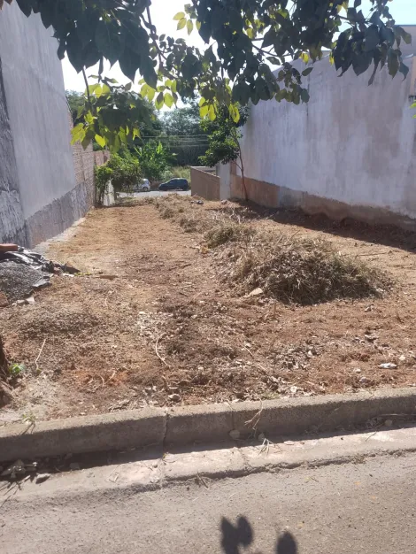 imagem 1 - Terreno 151 mts a venda - Bady Bassitt imagem 1 - Terreno 151 mts a venda - Bady Bassitt