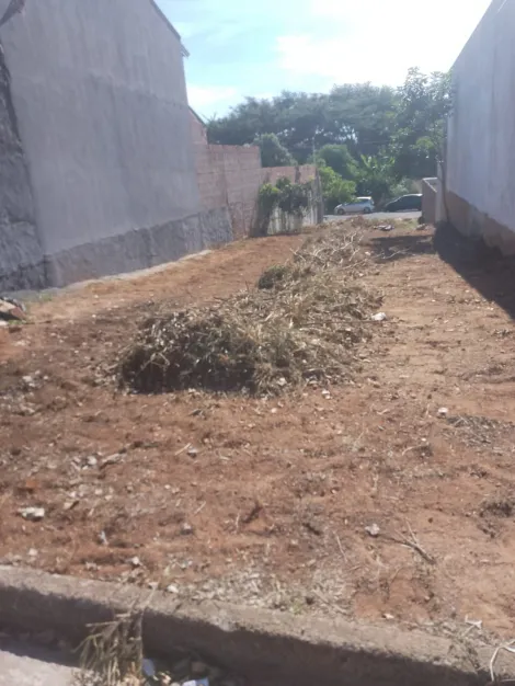 imagem 2 - Terreno 151 mts a venda - Bady Bassitt imagem 2 - Terreno 151 mts a venda - Bady Bassitt