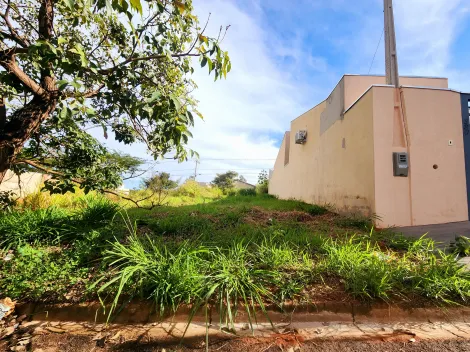 imagem 1 - Terreno - Padrão imagem 1 - Terreno - Padrão
