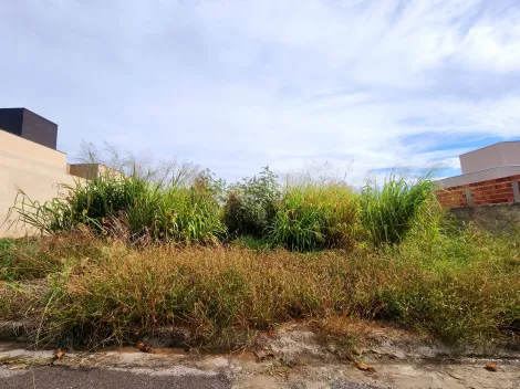 imagem 1 - Terreno - Padrão imagem 1 - Terreno - Padrão