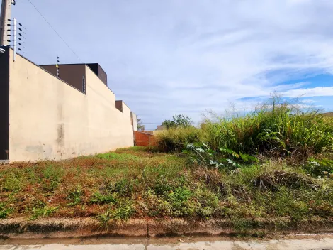 imagem 1 - Terreno - Padrão imagem 1 - Terreno - Padrão