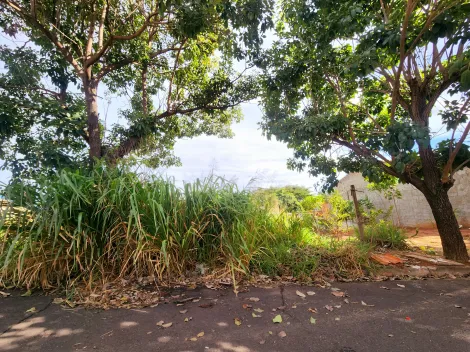 imagem 1 - Terreno - Padrão imagem 1 - Terreno - Padrão